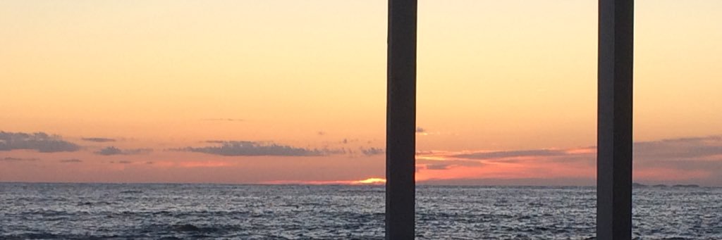 Gina De Marcellis banner