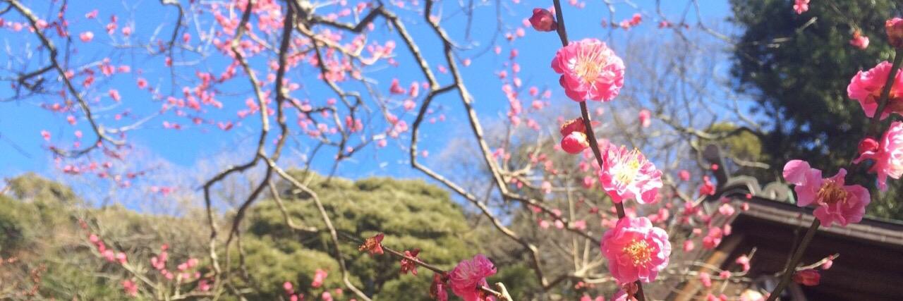 ns_otanko's profile banner image