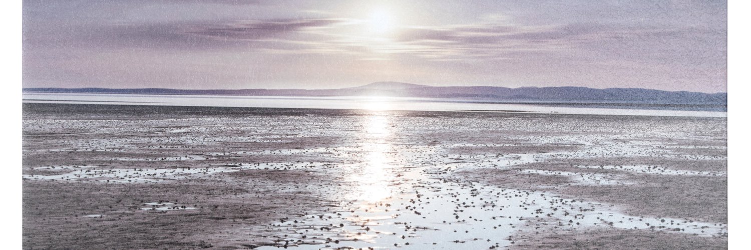 amy banner