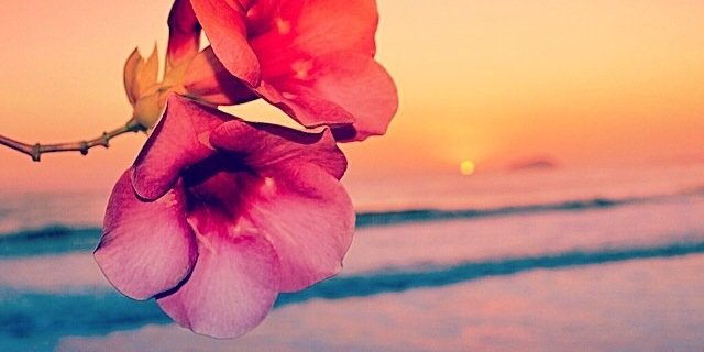 wafa_3bady's profile banner image