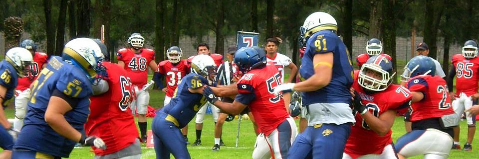 luis_flores's profile banner image