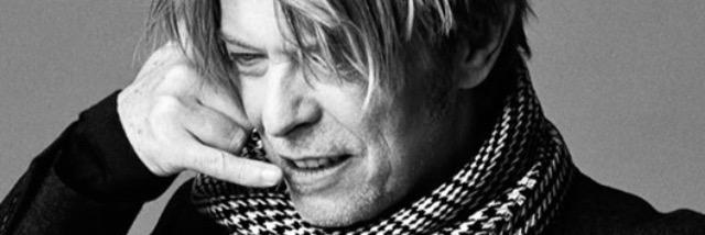 Alex Alévêque banner