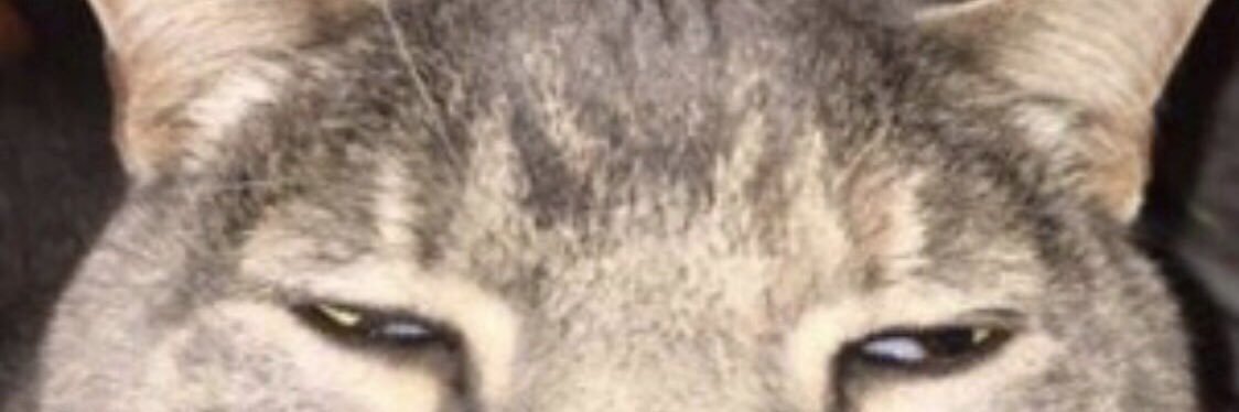 dandayy's profile banner image
