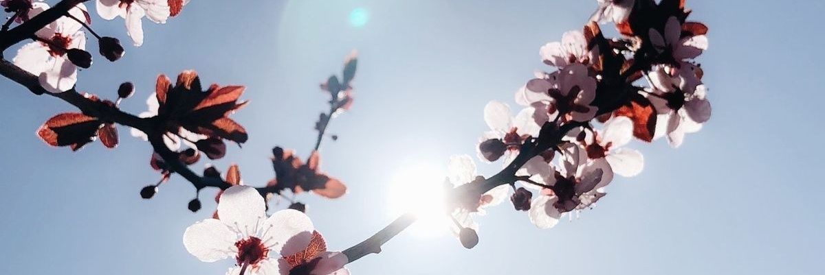 zay_lm's profile banner image