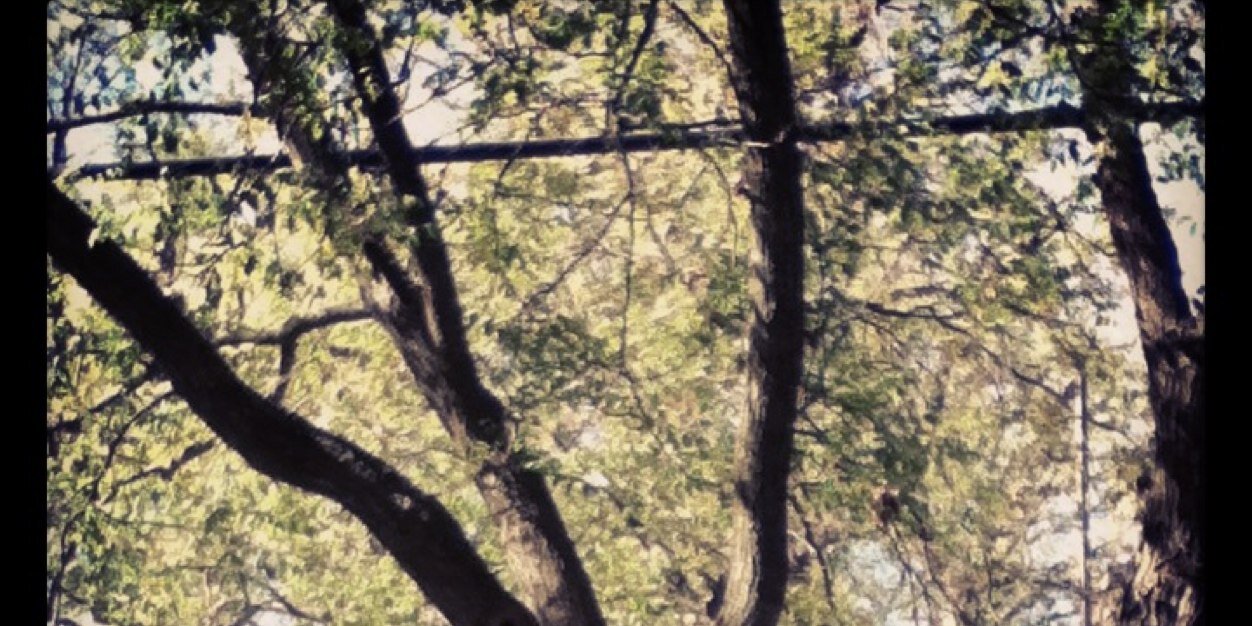 mollystuber's profile banner image