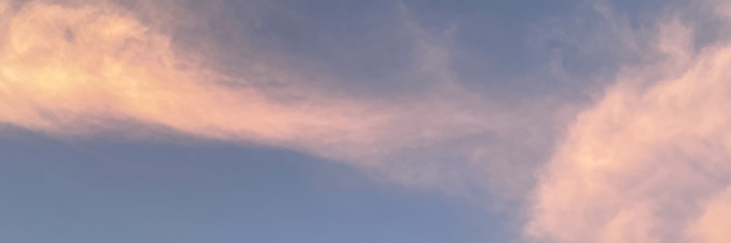 elly_harvey's profile banner image
