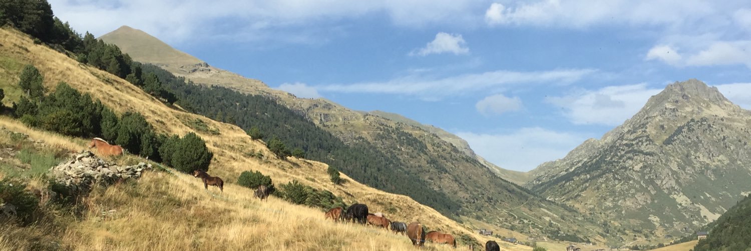 Marc Pantebre banner