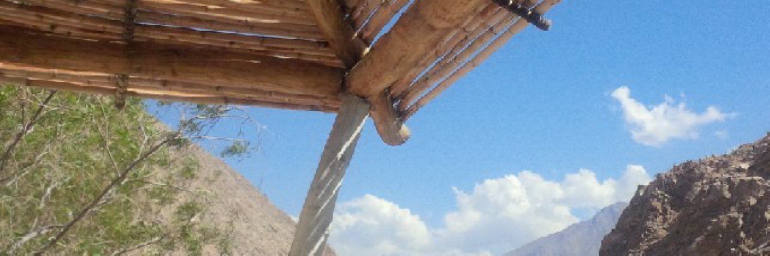 Rodrigo Araya banner