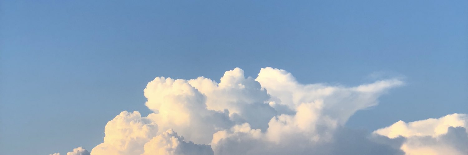 Cannonball Jenkins banner