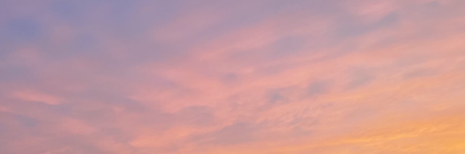 Hayley banner