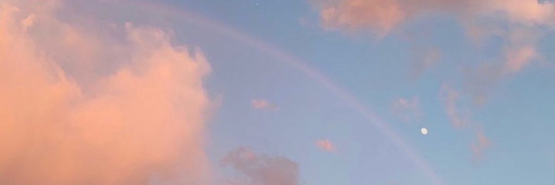 FereNike_'s profile banner image