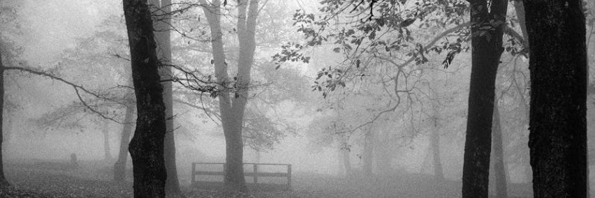 Mama5969's profile banner image