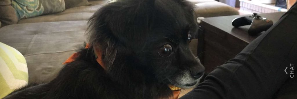 BillyB1402's profile banner image