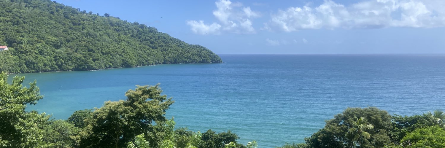 diditrini's profile banner image