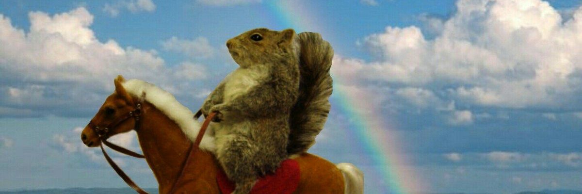 CamilleCSimonet's profile banner image
