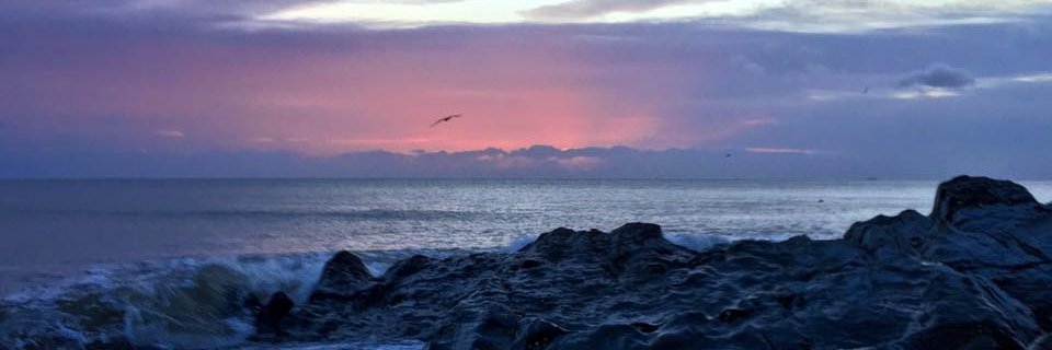 nichurnd's profile banner image