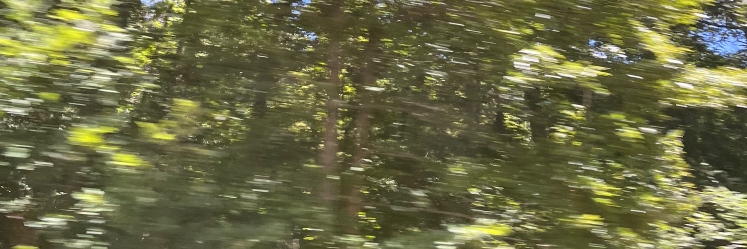 jjancolemann's profile banner image