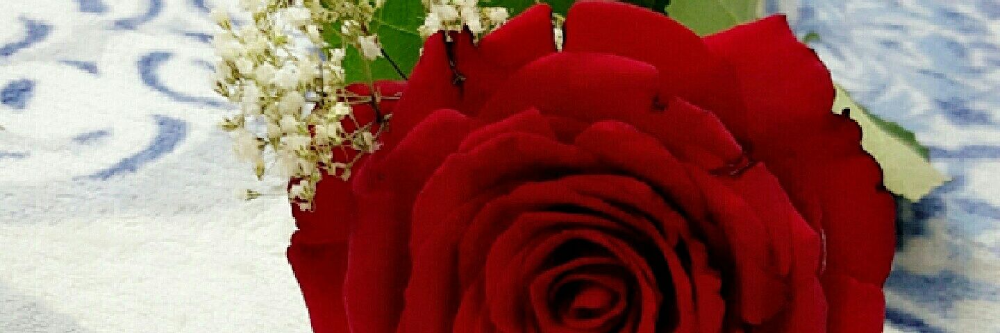 sm2911429's profile banner image