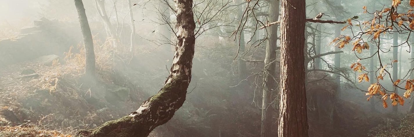 mangled6's profile banner image