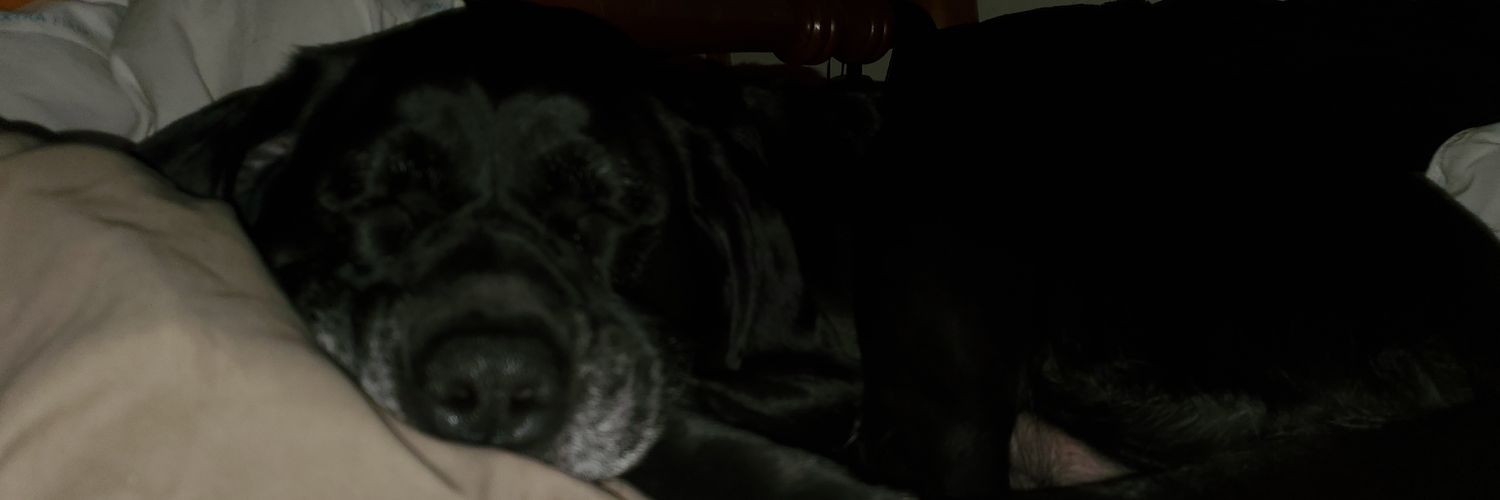 leecemae_'s profile banner image