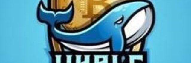 Lucascrypto791's profile banner image