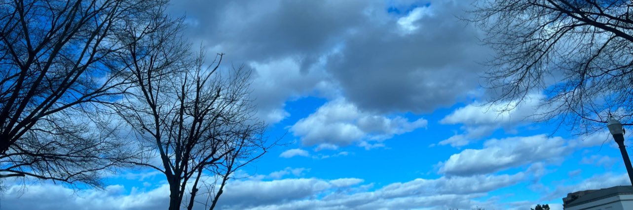 teeleann's profile banner image