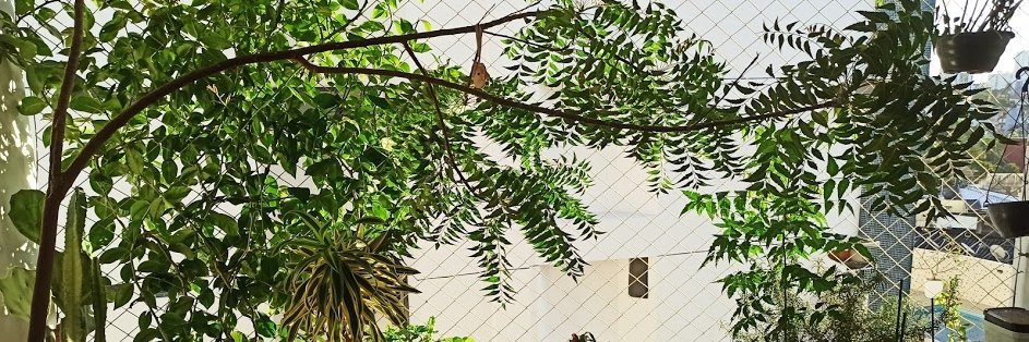 bernabaiano's profile banner image