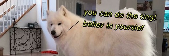 @IavaIsio banner