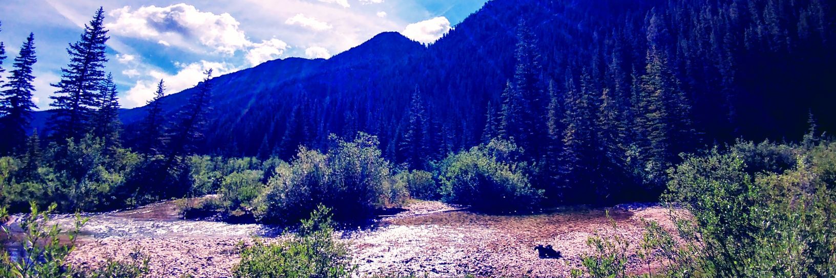 Jerreme Wilburn banner