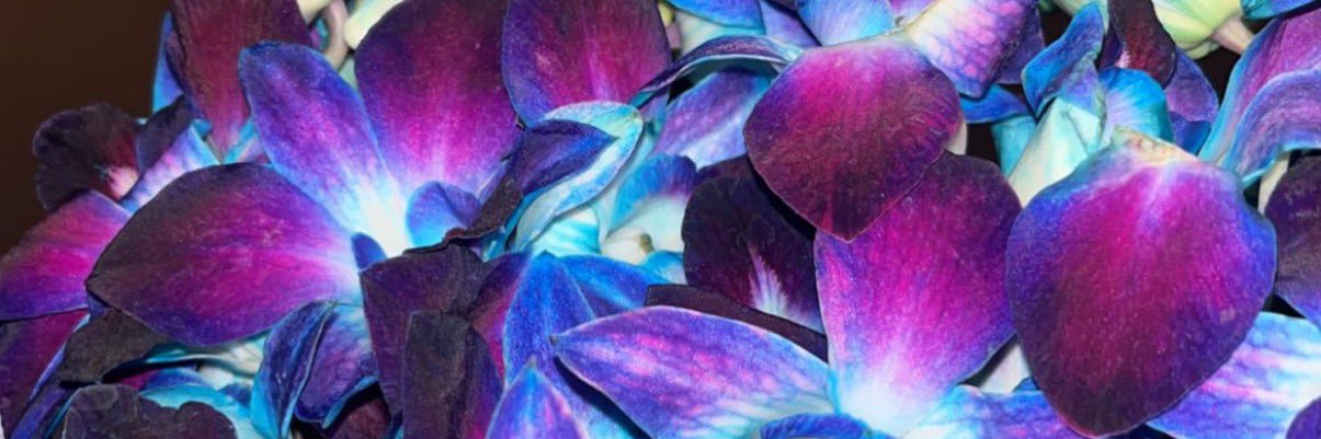 cugaldee's profile banner image