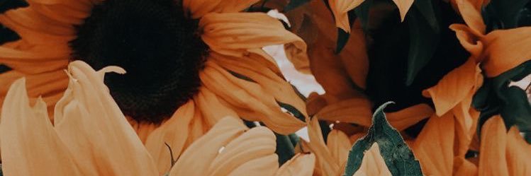 NathChristinee's profile banner image