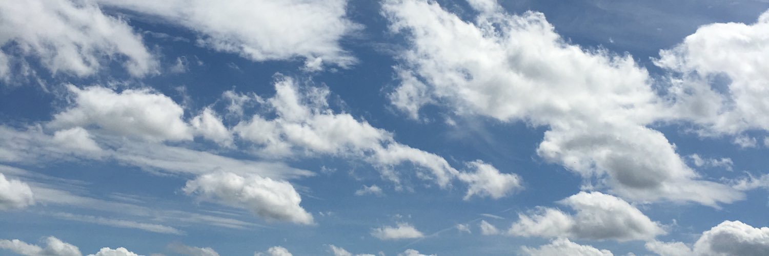 marthamckerlie2's profile banner image