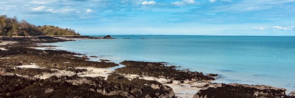 Not_JustAFace Profile Banner