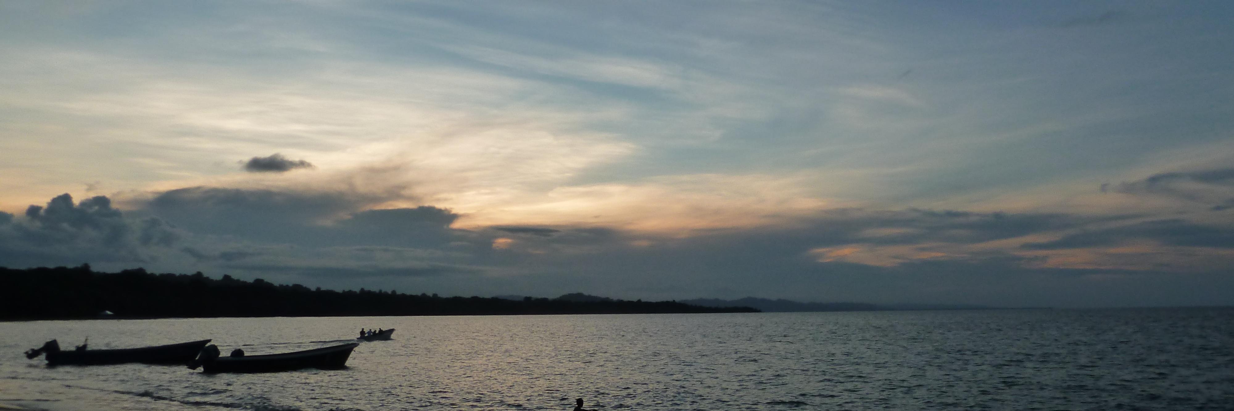 ireneparedero's profile banner image