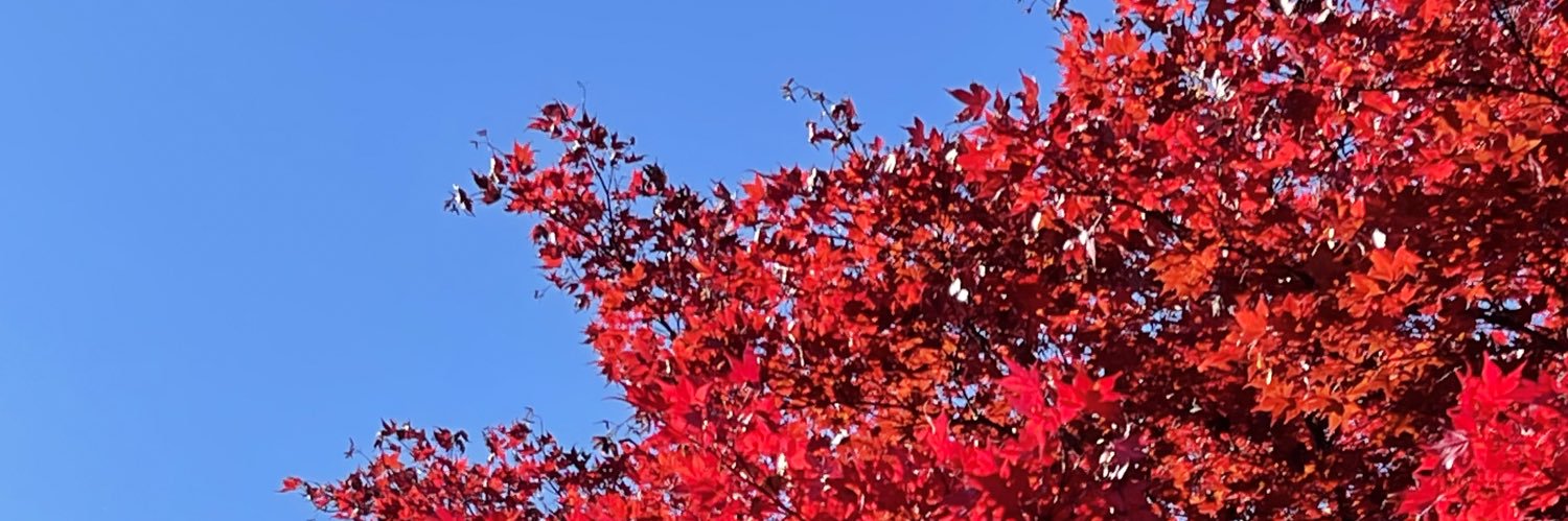 jenndingler's profile banner image
