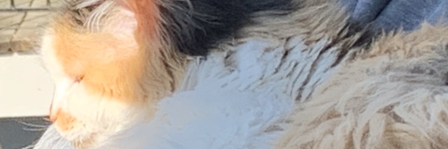 Brad Hurdis banner