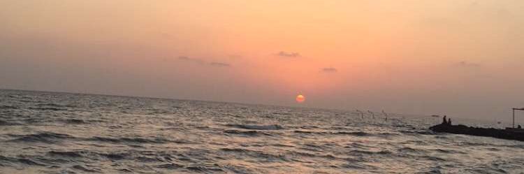 SultanAlHabib1's profile banner image