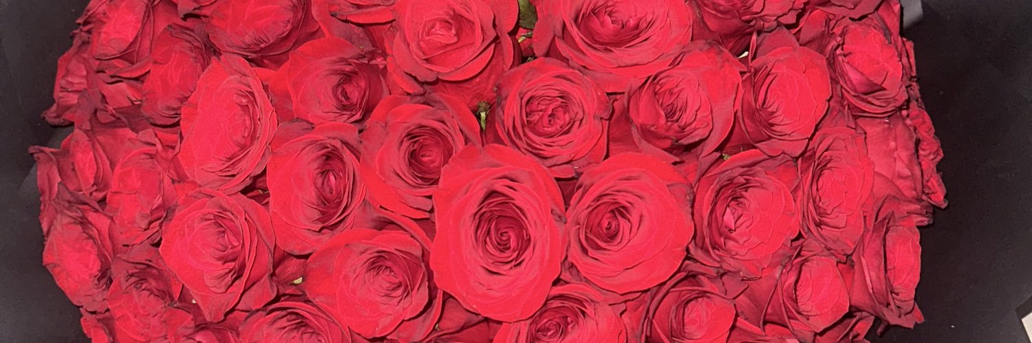 kaareenv7's profile banner image