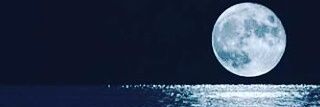 michaelisdjzero's profile banner image