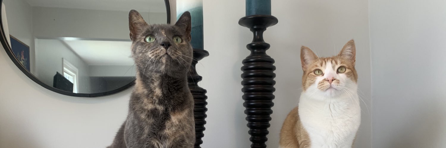 lindsmspurling's profile banner image