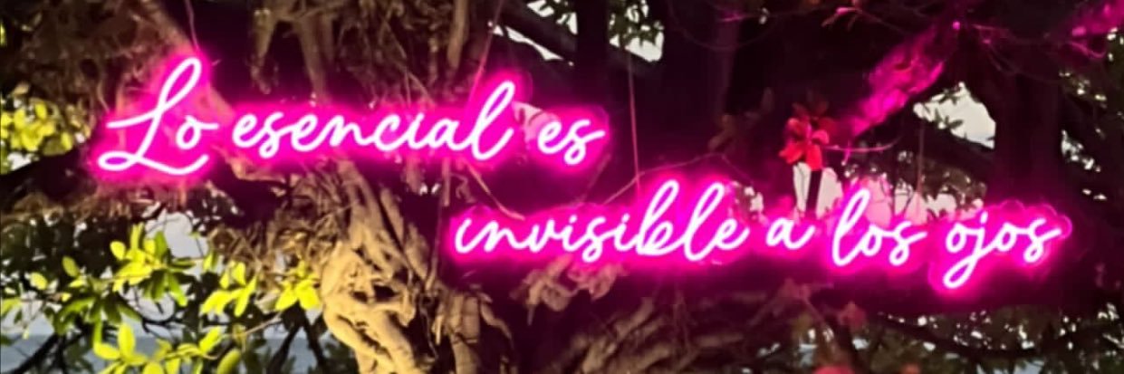 marcelavijil's profile banner image