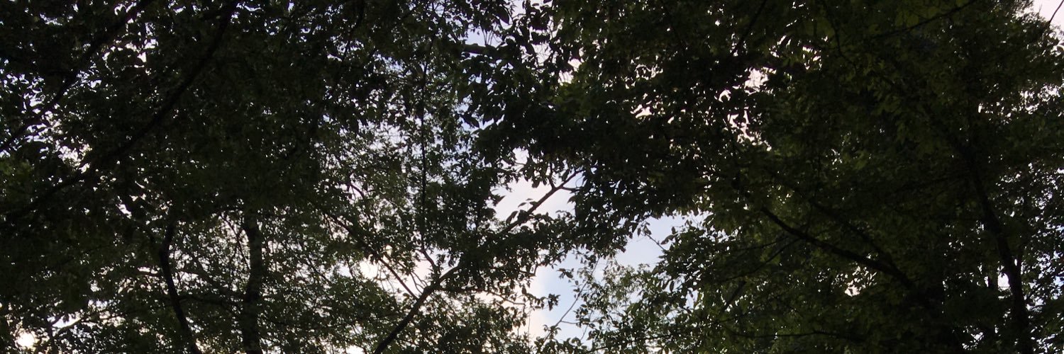 srfk_'s profile banner image