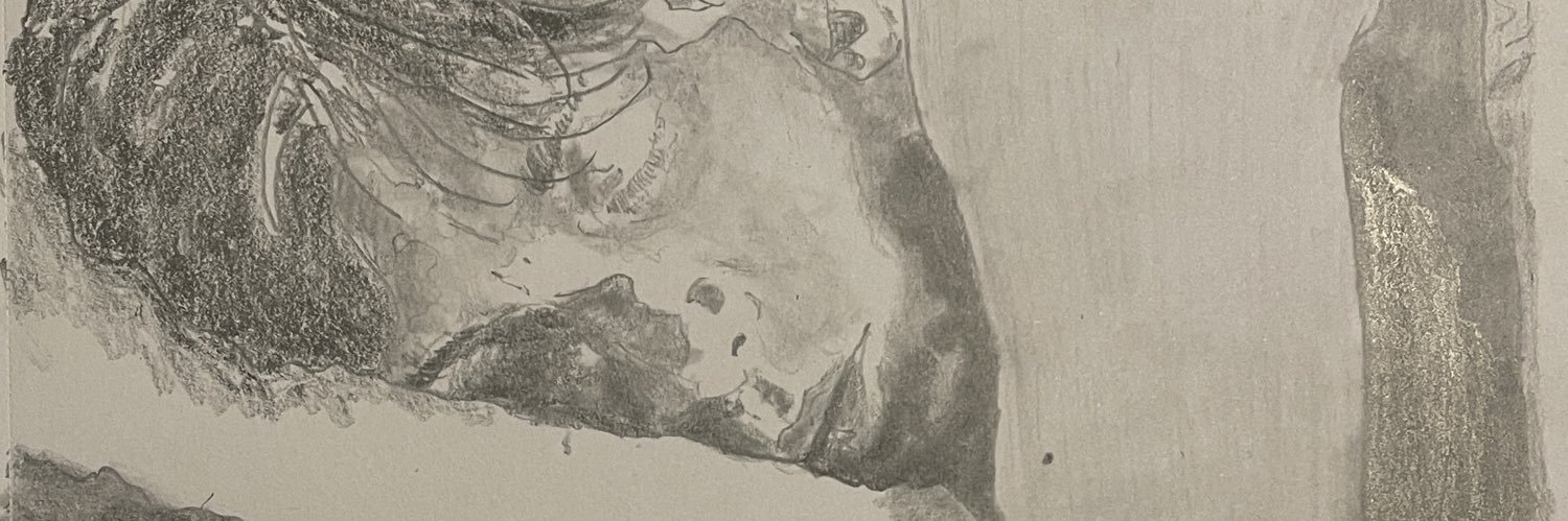 JohnFionnlagh's profile banner image