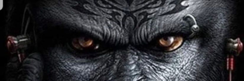 Caiaclau's profile banner image