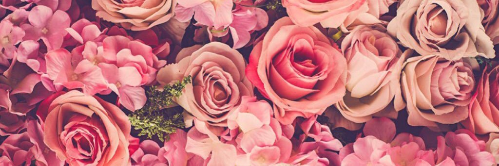 ForeverRosiee's profile banner image