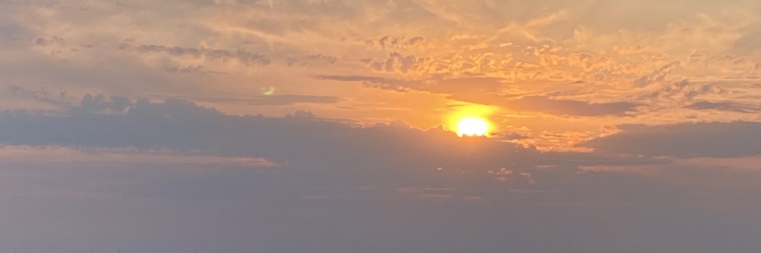sarahfphillips's profile banner image
