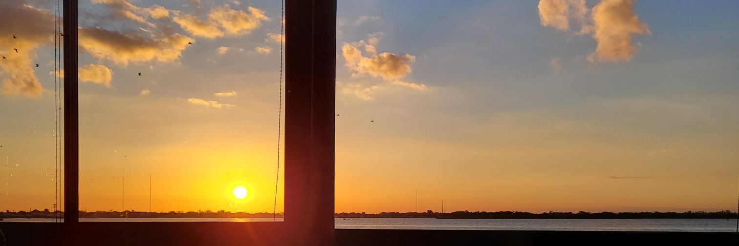 angela banner