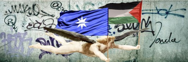 Mapuche_urbano Profile Banner