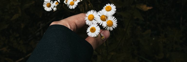 Muhtado88's profile banner image