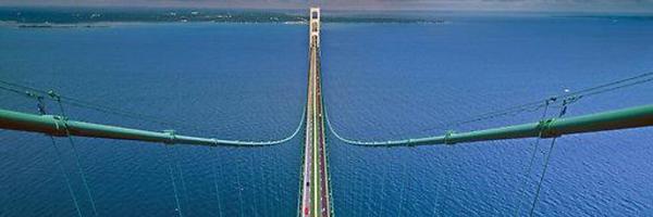 shakingthetree2 Profile Banner